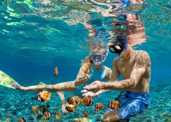 Snorkeling-in-Keys