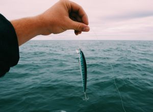 fishing lure
