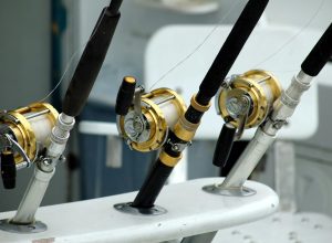 fishing trolling