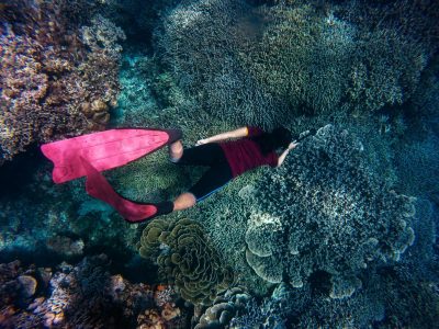 snorkeling with a view